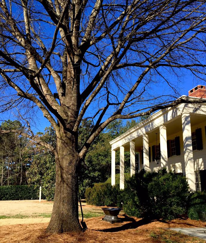WRBCO_Raleigh's tweet photo. We love our backyard here at #WRBCO - what a beautiful #Monday it has turned out to be! https://t.co/fx2X9UNhVj