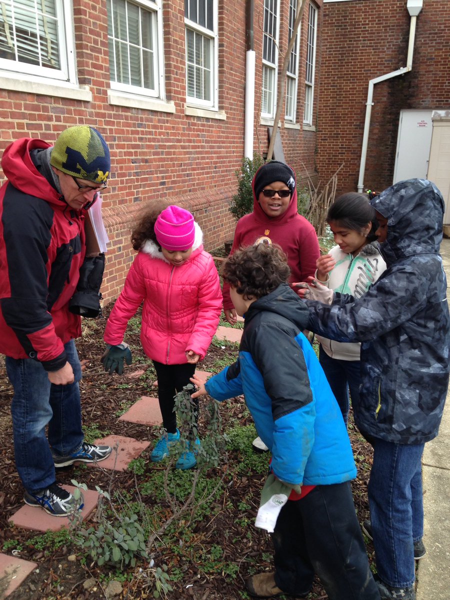 SSIMS_SCES_OC's tweet photo. Ms. Marino's 4th graders dug for sun chokes and found a friend too!  Thanks Jesse Buff for volunteering to help! https://t.co/RLJEG5u6VU