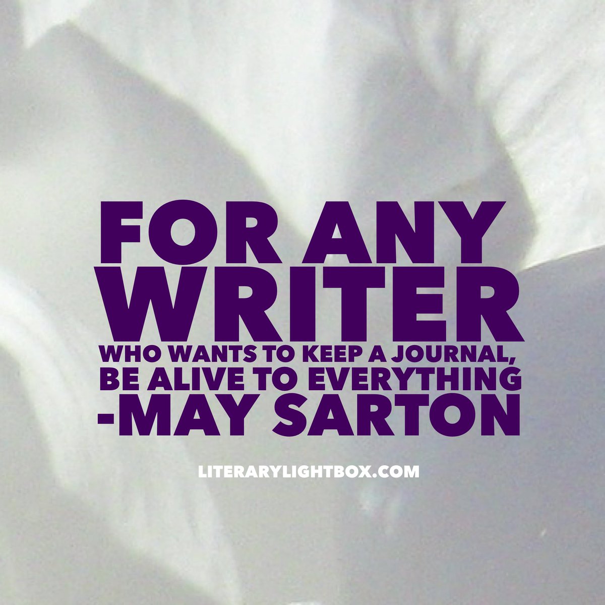 lorettamilan's tweet photo. "For any writer who wants to keep a journal, be alive to everything." - May Sarton #amwriting #writing #books #literarylightbox https://t.co/9IiHuvloP9