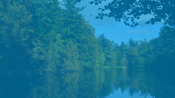 Vergeet niet om de nieuwe blog te lezen! verbinddrenthe.nl/blog/bewonersi…