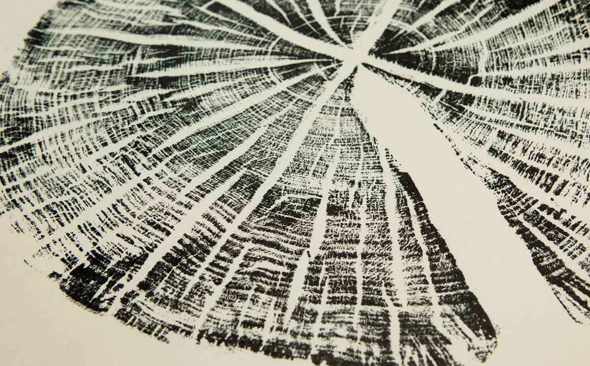 shoprealmart's tweet photo. Tree…ink…paper…gorgeous. Check out this handmade print by @jjreka: https://t.co/dXX0gMDc3H https://t.co/Dlre2OZSkV