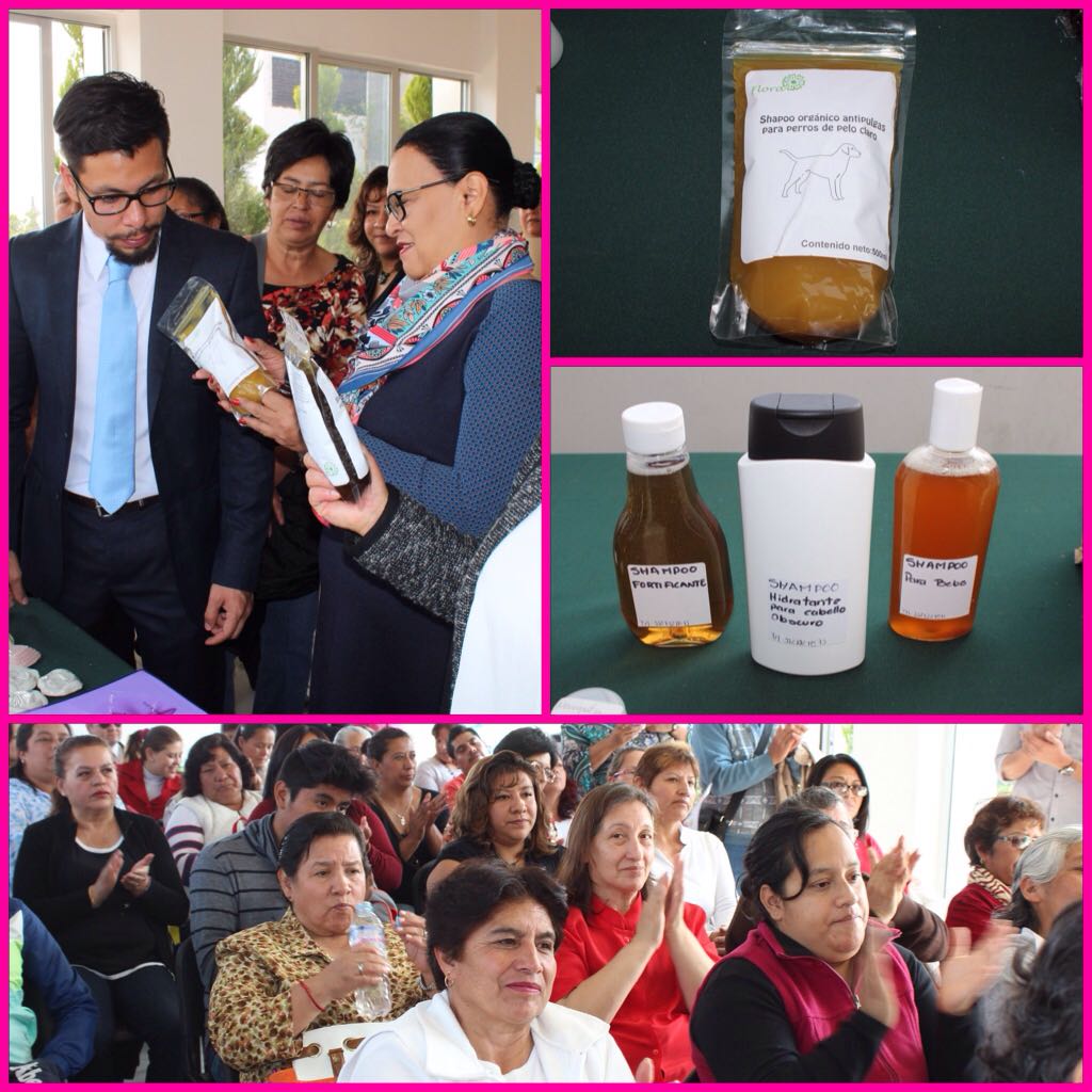 Productoras de #ZonaRuralCDMX aprendieron elaboración de artículos naturistas y estéticos con plantas medicinales; conservas y salmueras