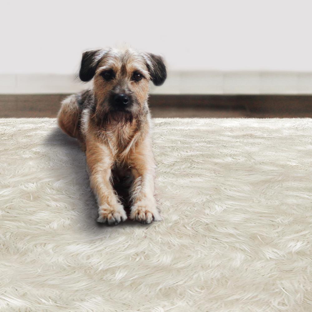 coldwellbanker's tweet photo. What to do when you need a new rug but don't want to spend a fortune? @HomeDepot spills their money-saving secret: https://t.co/yujwdhbgiJ https://t.co/IqQ8hKjlyF