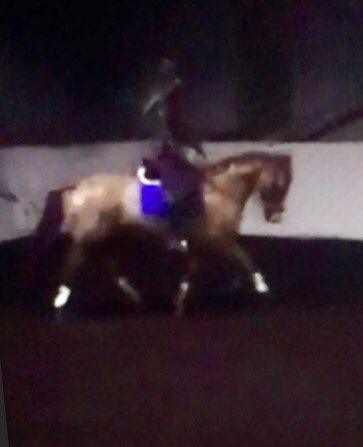 NOC_equestrian's tweet photo. Putting it into practice - what we learnt yesterday 💙🎂🐴 #cutthatcake #champagnedreams https://t.co/RoFXibCs44