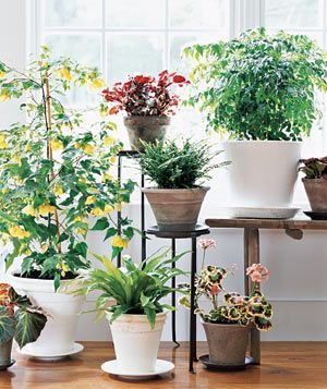 nikiool's tweet photo. Any room could have a #lovely, #colorful, useful and #happy corner.
https://t.co/SpENbBTdd3
#mondayescapes #bloggerstribe #trending #uk https://t.co/Vc9Jsf4tow
