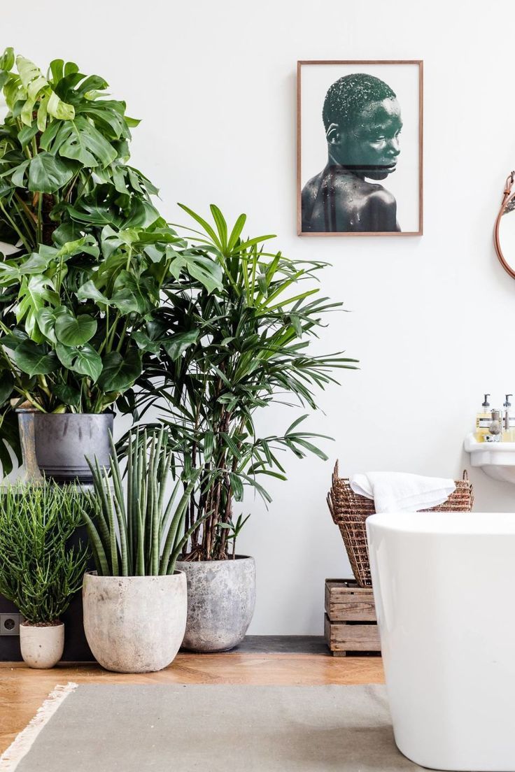 nikiool's tweet photo. Any room could have a #lovely, #colorful, useful and #happy corner.
https://t.co/SpENbBTdd3
#mondayescapes #bloggerstribe #trending #uk https://t.co/Vc9Jsf4tow