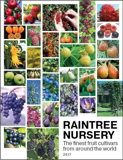 Our catalog is packed full of great tips and info on how to succeed in your garden! Get your own copy at bit.ly/2k7oSpa
