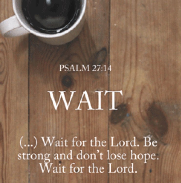 digitalshawn's tweet photo. Wait for the Lord, be strong and don't lose hope. Wait for for the Lord. 

-Psalm 27:14

#Jesus
#Bible https://t.co/hSwk8cuPmN