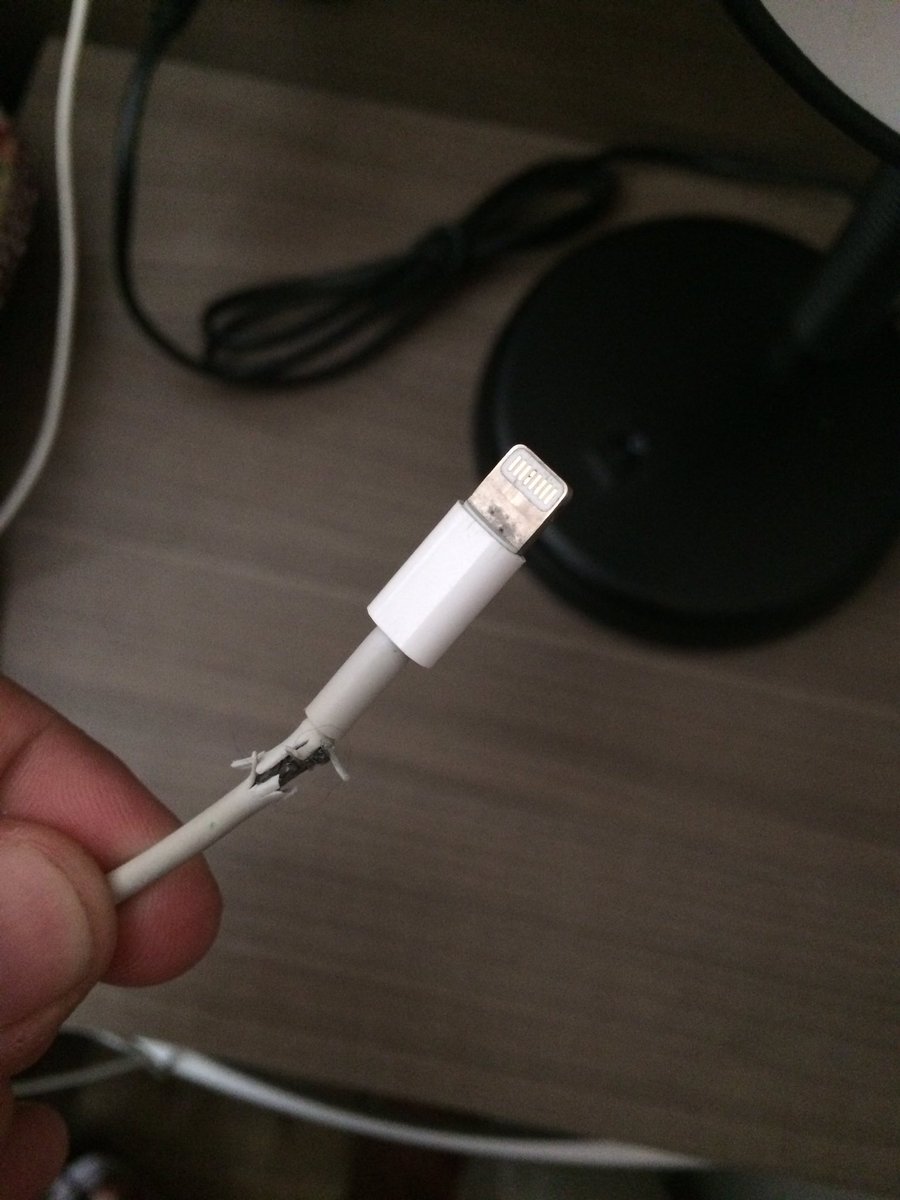 GuttoBecker's tweet photo. @Apple please, help me! Do you know anything more easyer to breack than iPhone's charge cable? This is the third. Spent more than $150 on it https://t.co/LGxvFmUWsR