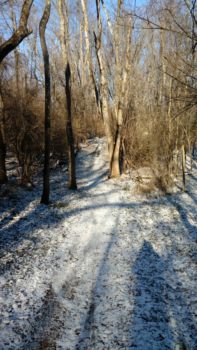 mta73's tweet photo. 16 frosty miles on the trail this morning!  #runyamacraw.  #mohicantrail50mile https://t.co/3wBorIqmhX
