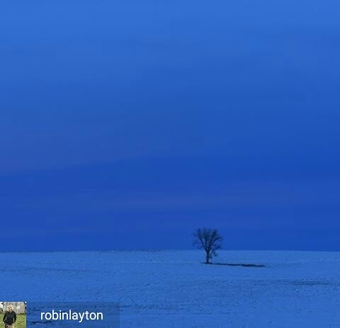 WinstonWachter's tweet photo. #robinlayton #blueisbeautiful #thesimplethings #takeamomenttakeitin #winstonwachterseattle #winstonwachter @robinlayton https://t.co/iDaxdn25Wx