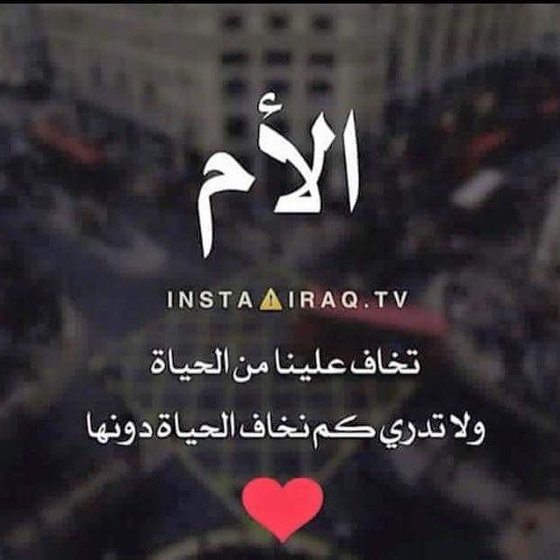 Ali Hussen (@alih24677480) on Twitter photo 