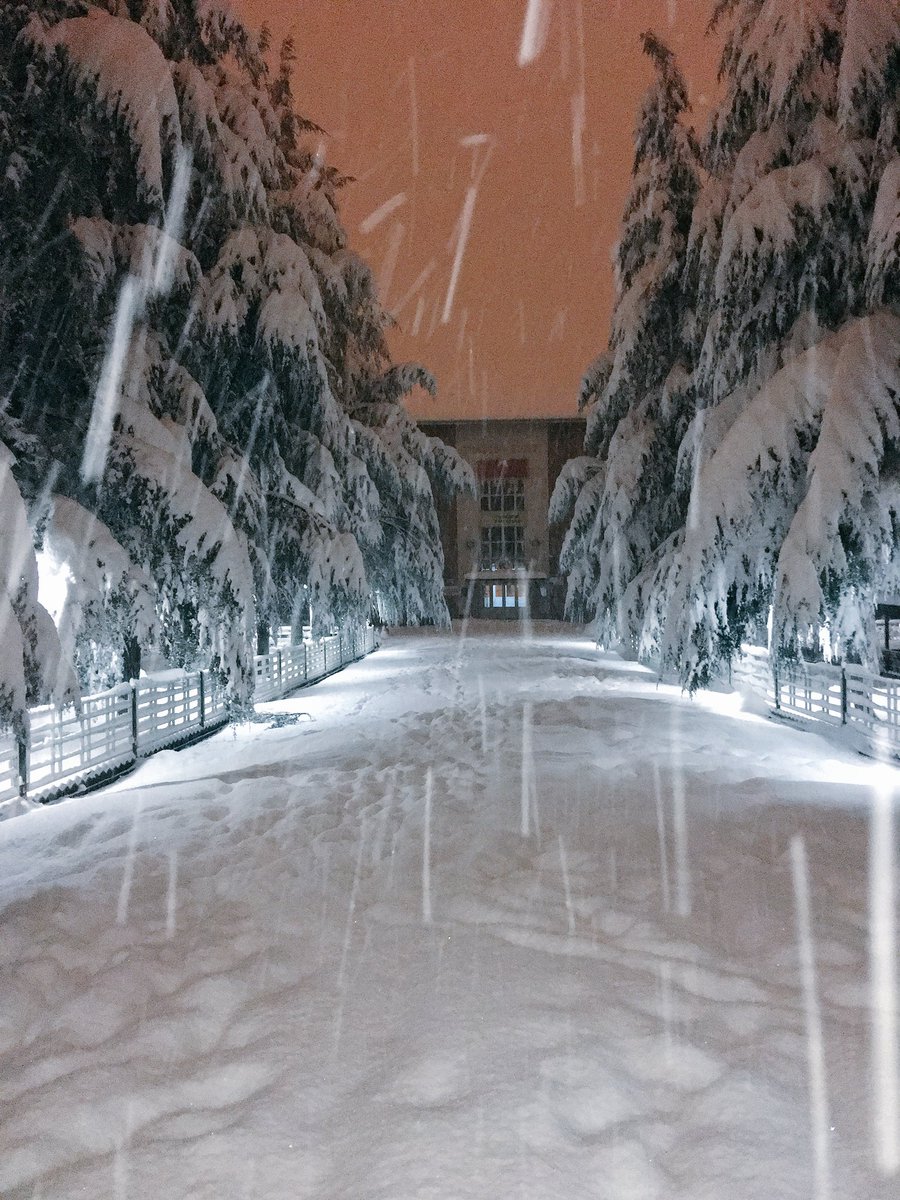 _TL123_'s tweet photo. Kar bile kapatamıyor anılarımızın üstünü. ❄️❄️ #ŞANLILİSE #TL123 https://t.co/WgjhwnJ8QT