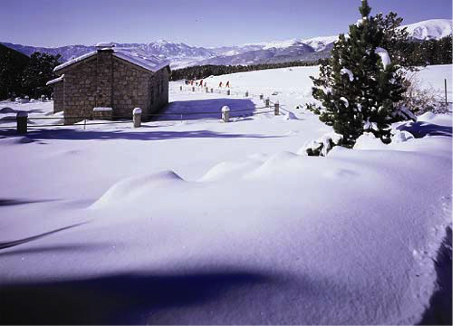 piri.cat/index.php/arti…