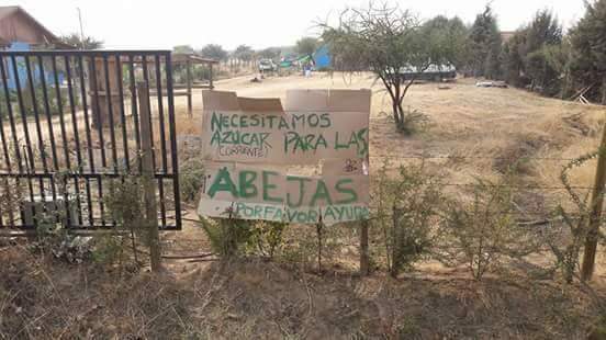 Ver imagen en Twitter