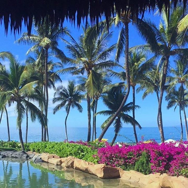 AqualaniHawaii's tweet photo. The views from @grandwailea are beautiful! 
#Repost https://t.co/hfxKU7owd9