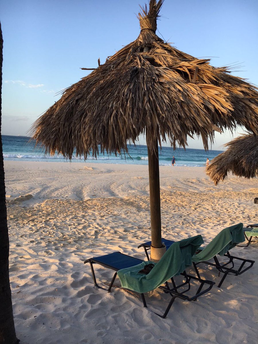 TamarijnAruba's tweet photo. Taking in the afternoon breeze and some beach time @TamarijnAruba before the sun goes down... https://t.co/irhkfZItsB