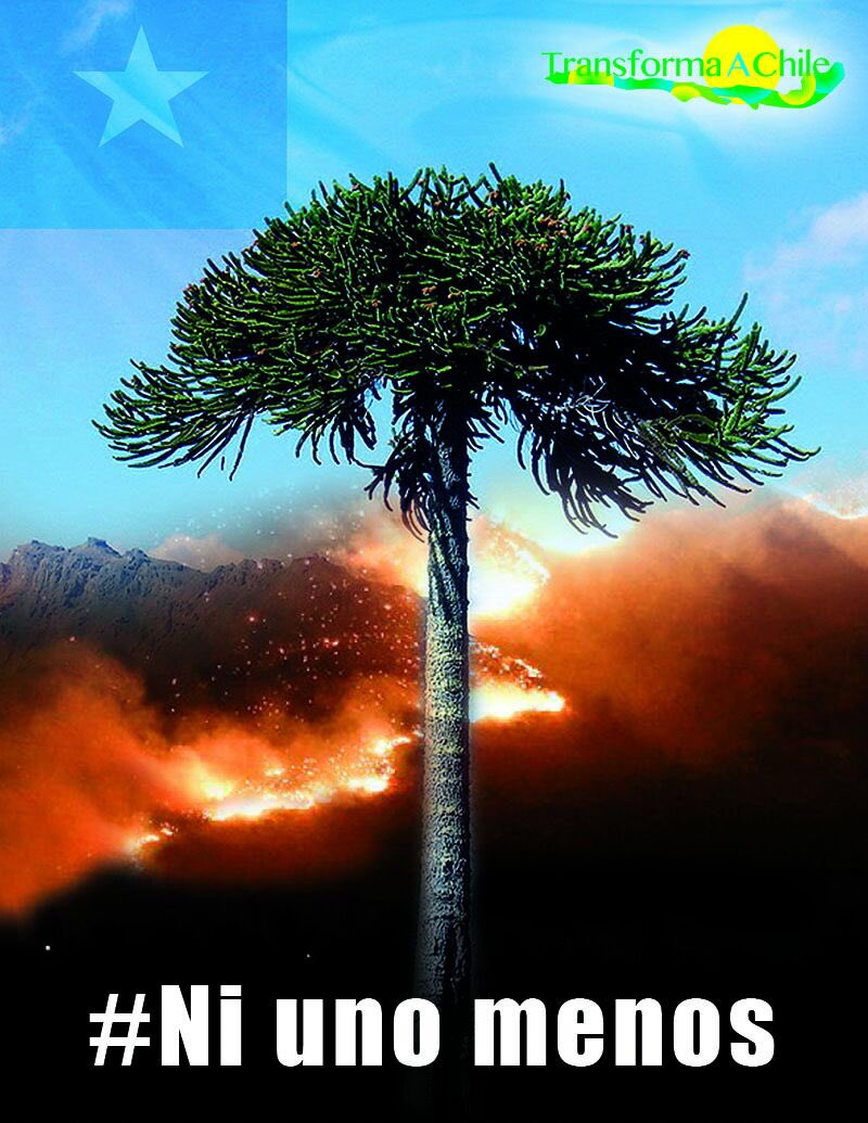 ongtransforma's tweet image. Comparte si estás de acuerdo #niunomenos