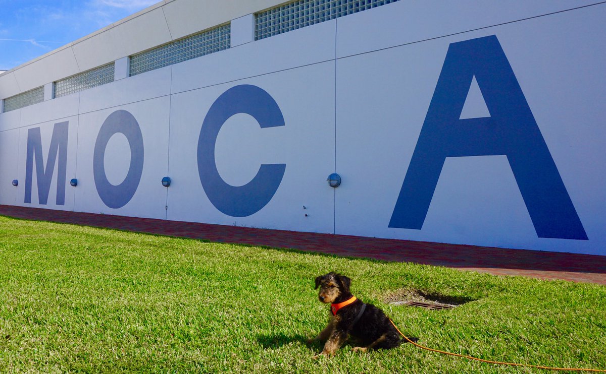 Mocha goes to MoCA <a href="/MOCANOMI/">MOCA</a> #mochaMIA #miami