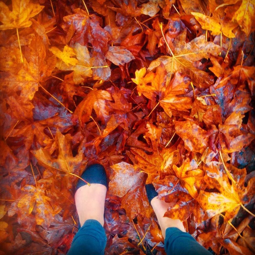 Photo by #guestgrammer @activelivstyle - The Fall at Sunwolf is steeped in colour by the b… ift.tt/2kIPQU6