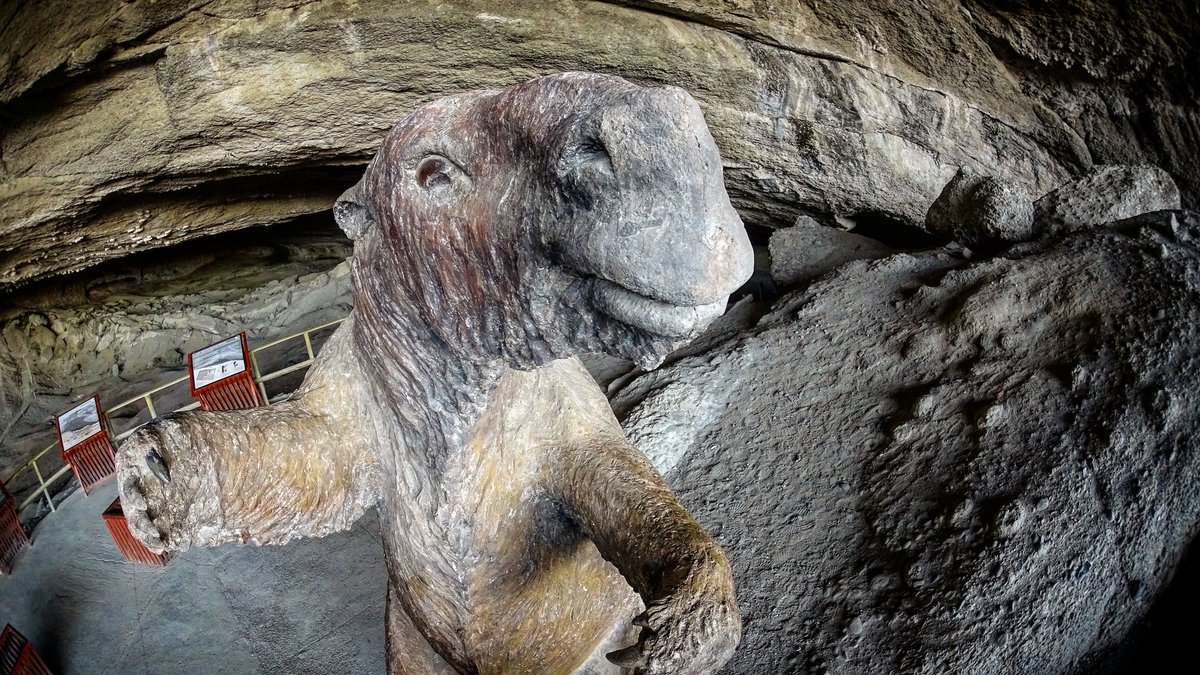 mlucerog's tweet image. #culturaverdadera @mentiraslared #milodon