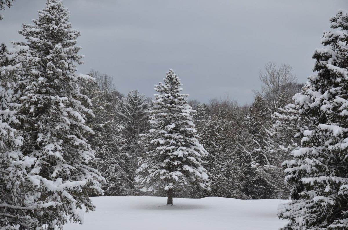 Upnorthlive Com On Twitter Let S See Your Northern Michigan Winter Photos Submit Them Under The Weather Tab Https T Co 6kpcnawapq