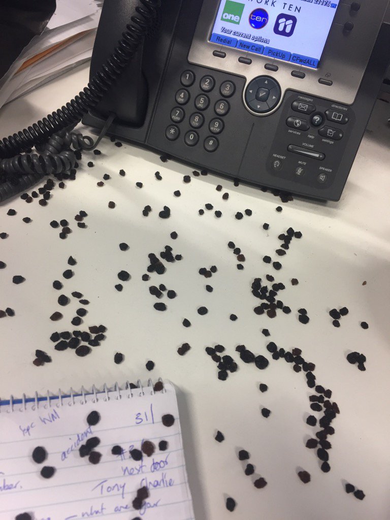 LetishaMarambio's tweet photo. Good thing I work in news and 'currant' affairs #lunchfail #packetburst #currantexplosion https://t.co/yHeg0SUit3