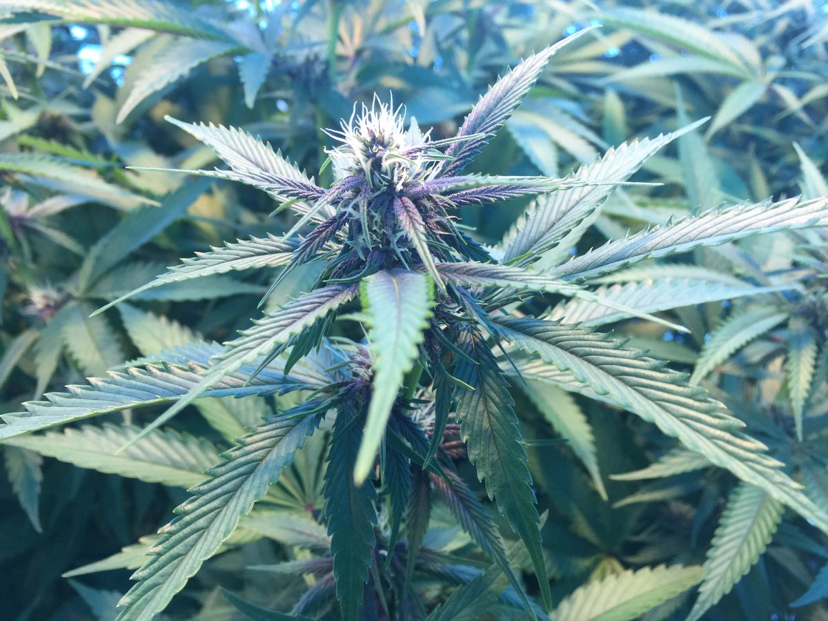 She's a nice lookin lady there!