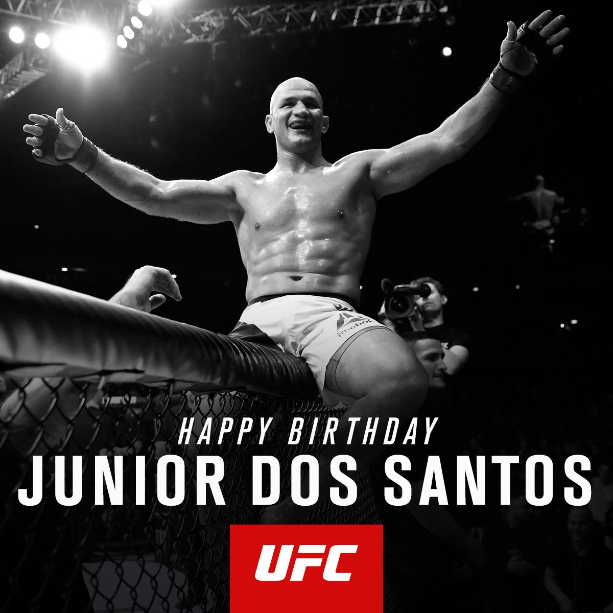 ufc tweet picture