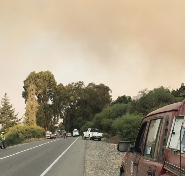 biobio's tweet photo. AHORA | Incendio fuera de control en bosque de pino del fundo Las Tinajas entre Constitución y San Javier. Apoyo aéreo y militar en la zona. https://t.co/epxizFp6tq