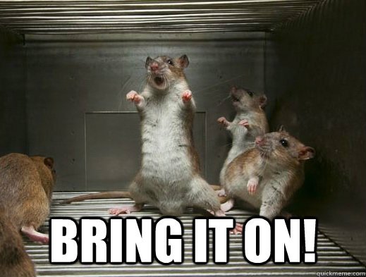 Aspectek's tweet photo. Oh, indeed we shall...
Check out our wide range of #PestControl products today at:
https://t.co/mf3erPxuip
#Rodents #Insects #Pests https://t.co/ju3NQ3kwe7