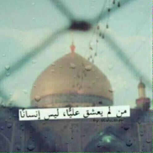 Ali Hussen (@alih24677480) on Twitter photo 