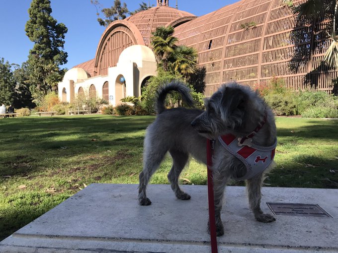 Bonnie says take your mental health days. https://t.co/4dt7ZKZbws<a href="/tag/mvsales"class="tags"><span>#mvsales</span></a>