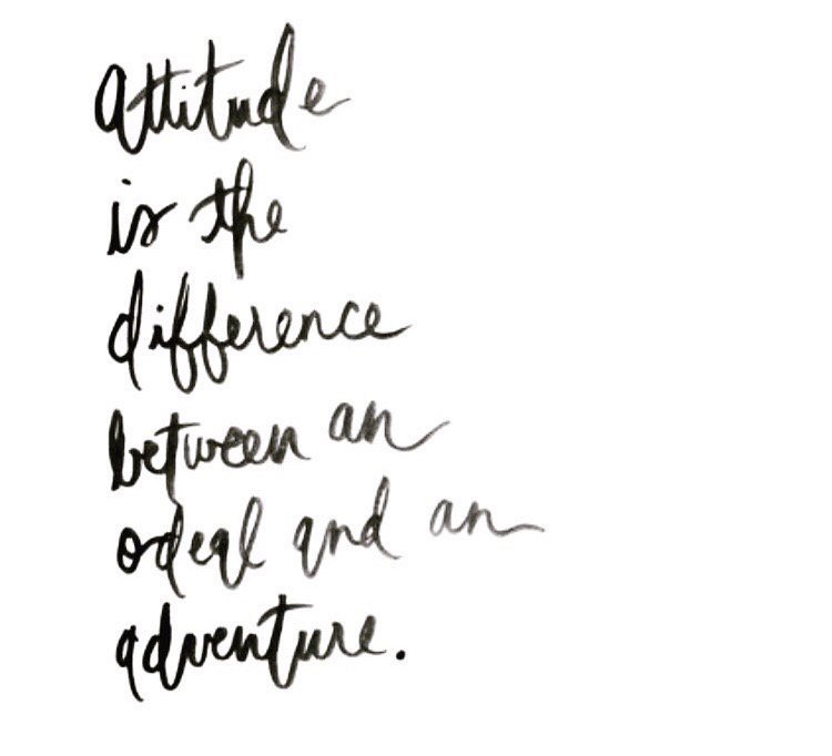 projecthappy's tweet photo. Mindset is everything. Create adventure, find joy. https://t.co/S32Q5shjdd