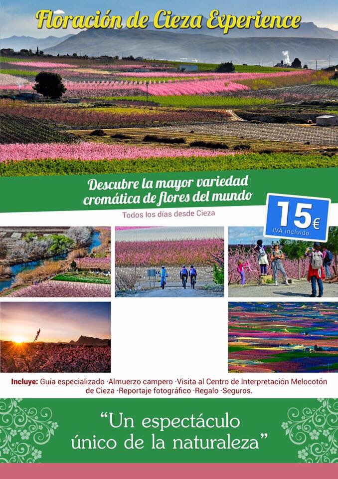 Esto lo tienes en Cieza, Murcia.