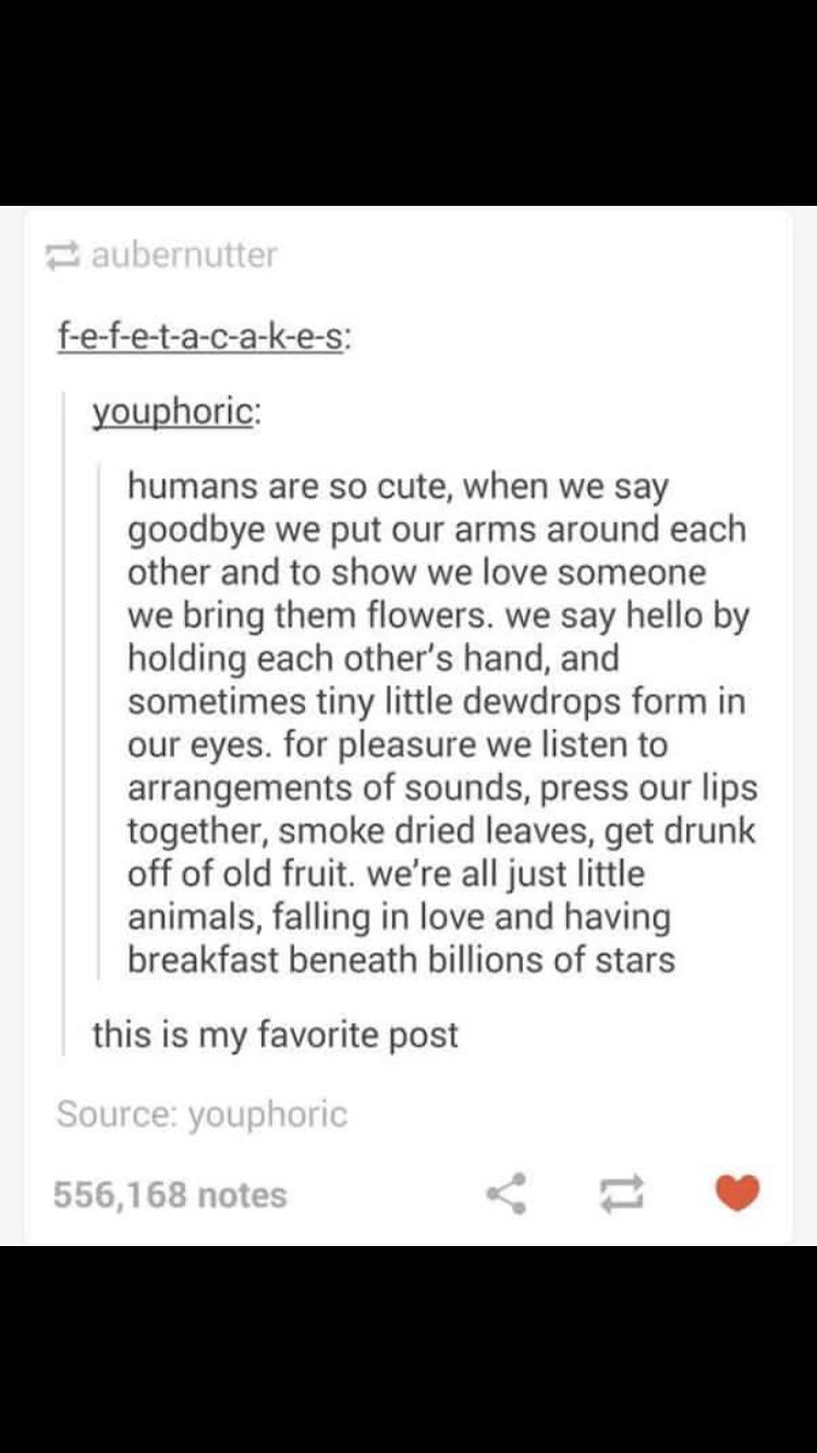 Athena Westerman on X: 😊 t.coISsJXpEcKr  X