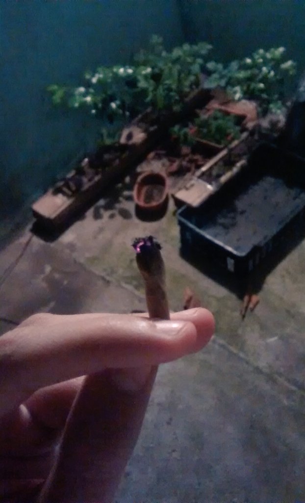 unflashreloco's tweet photo. Esa tuquita en el patio del laburo https://t.co/ktDXA4X7aB