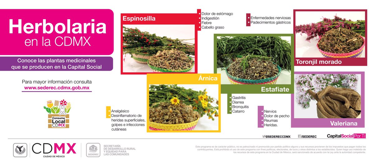 La #CDMX también produce plantas medicinales, conoce sus usos y beneficios en sederec.cdmx.gob.mx