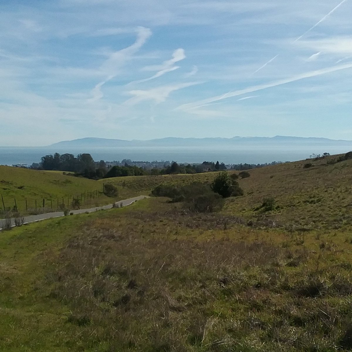 lissygreenbean's tweet photo. I walked to my Campus Sustainability Plan meeting today near the base of the @ucsc campus, and this was my view. https://t.co/g64VV01hmo