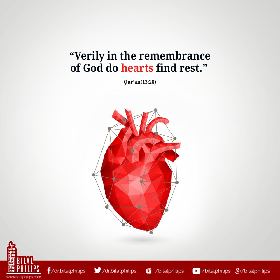 “Therefore remember Me, I will remember you, &amp; be grateful to Me &amp; never be ungrateful to Me.” Quran (2:152) #Muslims #Quran #Life #prayer