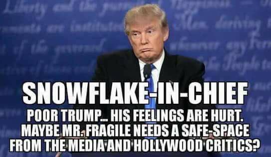 USAis1369's tweet image. BillMason next you'll talk about snowflakes right? #TrollBlock