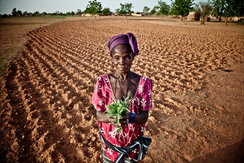 NonGMOProject's tweet photo. 14 million Nigerian farmers have called for all farmers to reject the #GMO seeds being distributed by the UN. https://t.co/j73lCH9vXZ https://t.co/AdtwryHKaD
