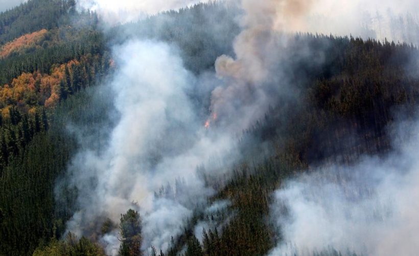 latercera's tweet photo. Detienen a brigadista de Conaf acusado de generar incendio en Cauquenes https://t.co/NFo7XRIDlt https://t.co/Z91F5liOJC