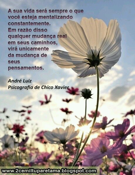 Valquíria TIM BETA (@valparanormal) on Twitter photo 