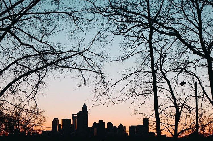 CharlotteFive tweet media