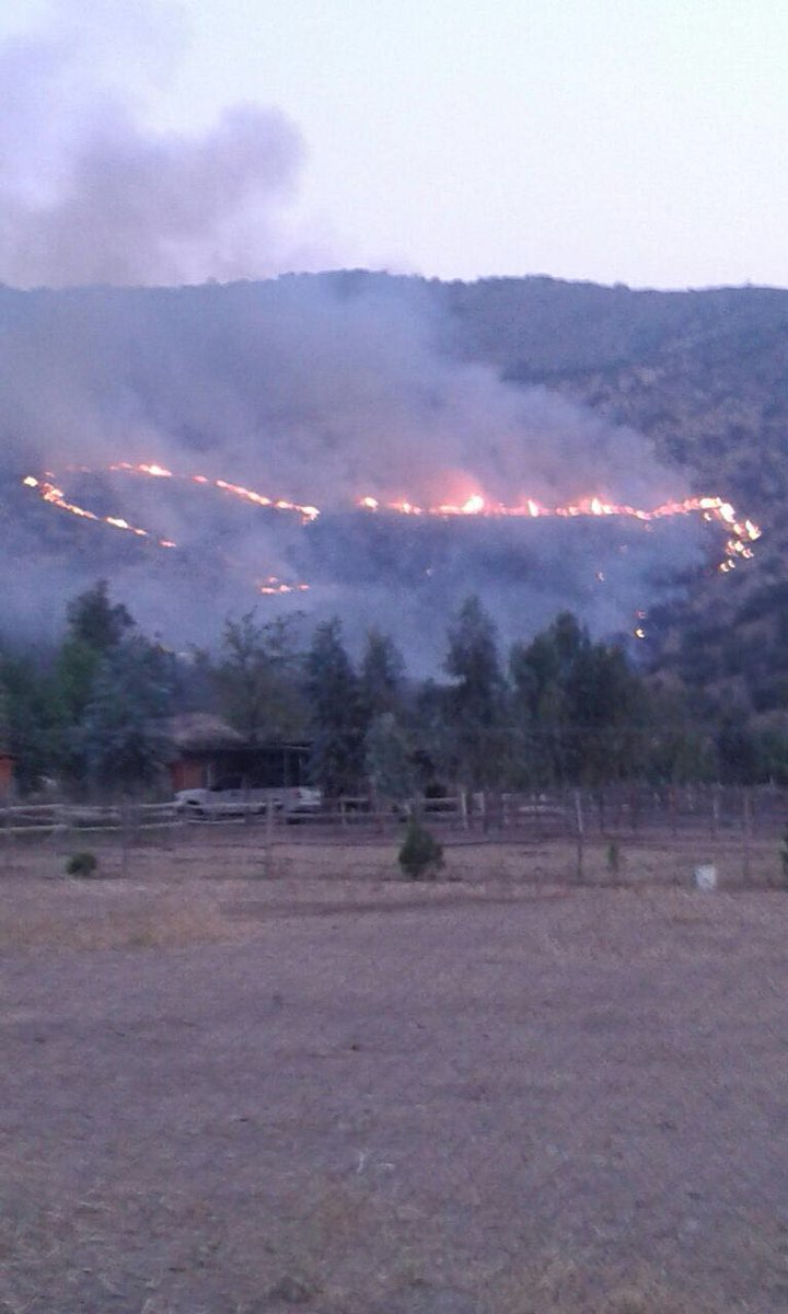 biobio's tweet photo. 🔴AHORA | Incendio se registra en sector camino El Papagayo de Talagante y se encuentra a 200 metros de las casas. https://t.co/zKzXoXrwpG