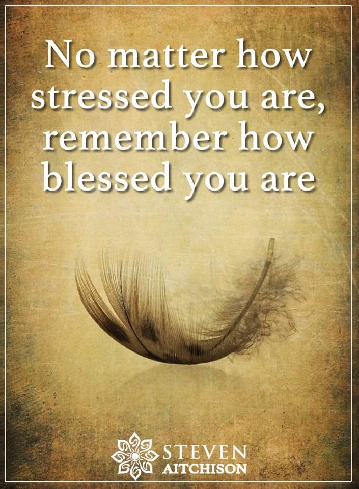 Healing Waters LLC (@healingwatersco) on Twitter photo 