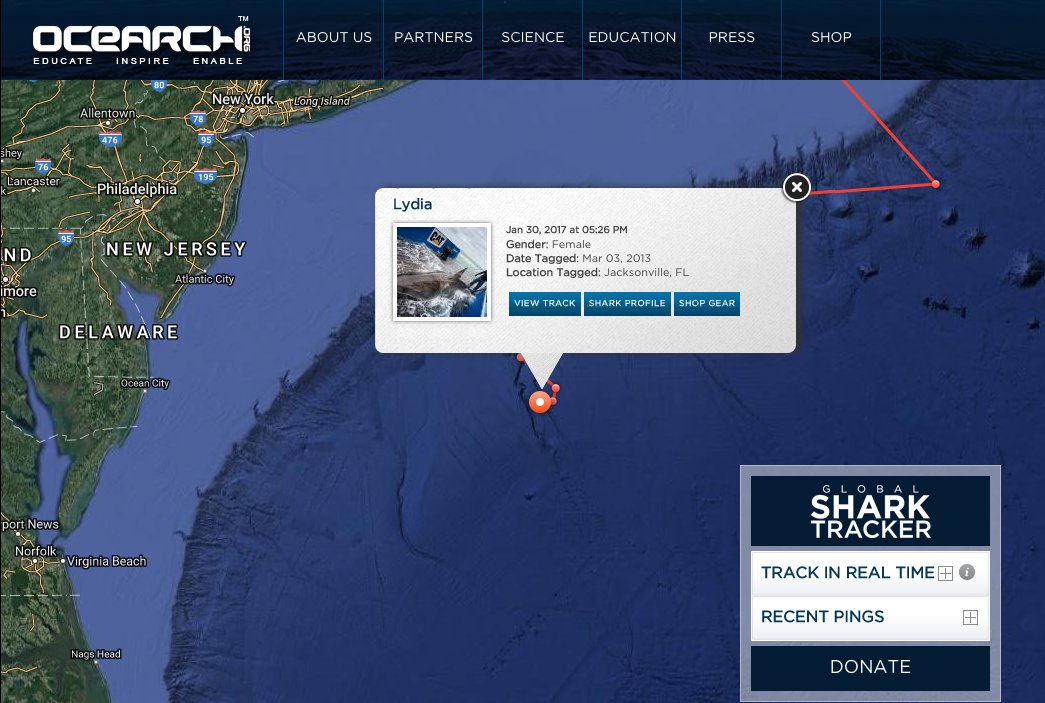 OCEARCH tweet media