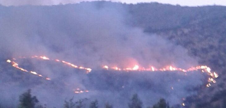 Incendio afecta a Camino El Papagayo en la comuna de Talagante rbb.cl/fteq