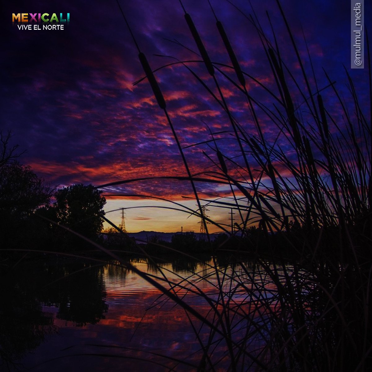Los colores son apenas un complemento de los paisajes #cachanilla.
